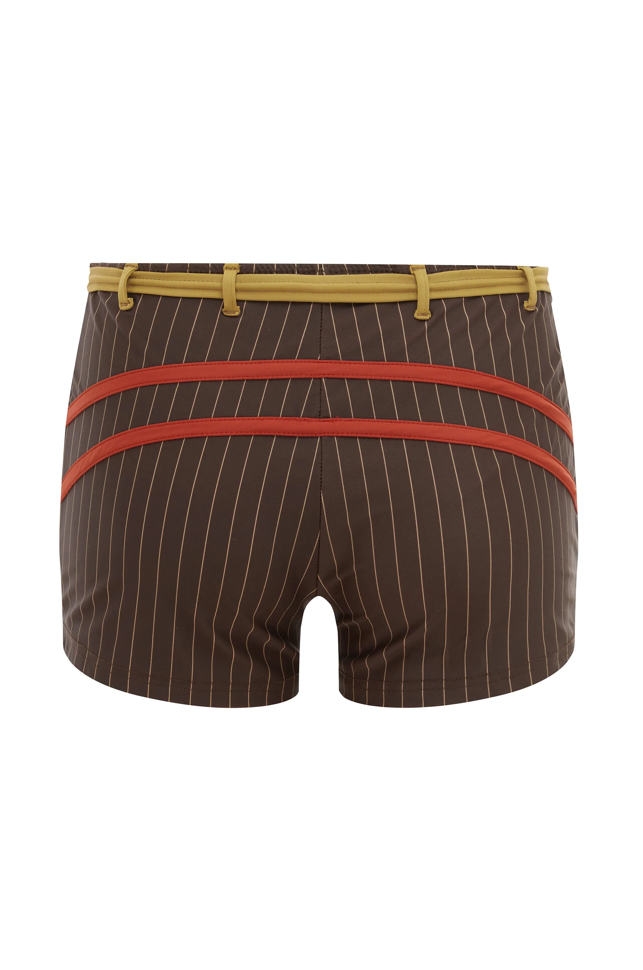 Blake Swim Shorts | Brown Pinstripe