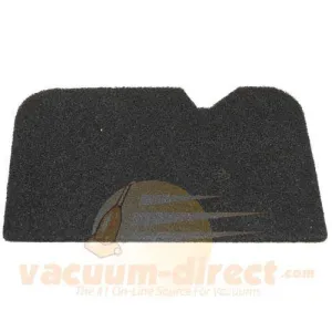 Cirrus Charcoal Secondary Filter Fits Models CR79, CR89, CR99 and U900, #700018300C