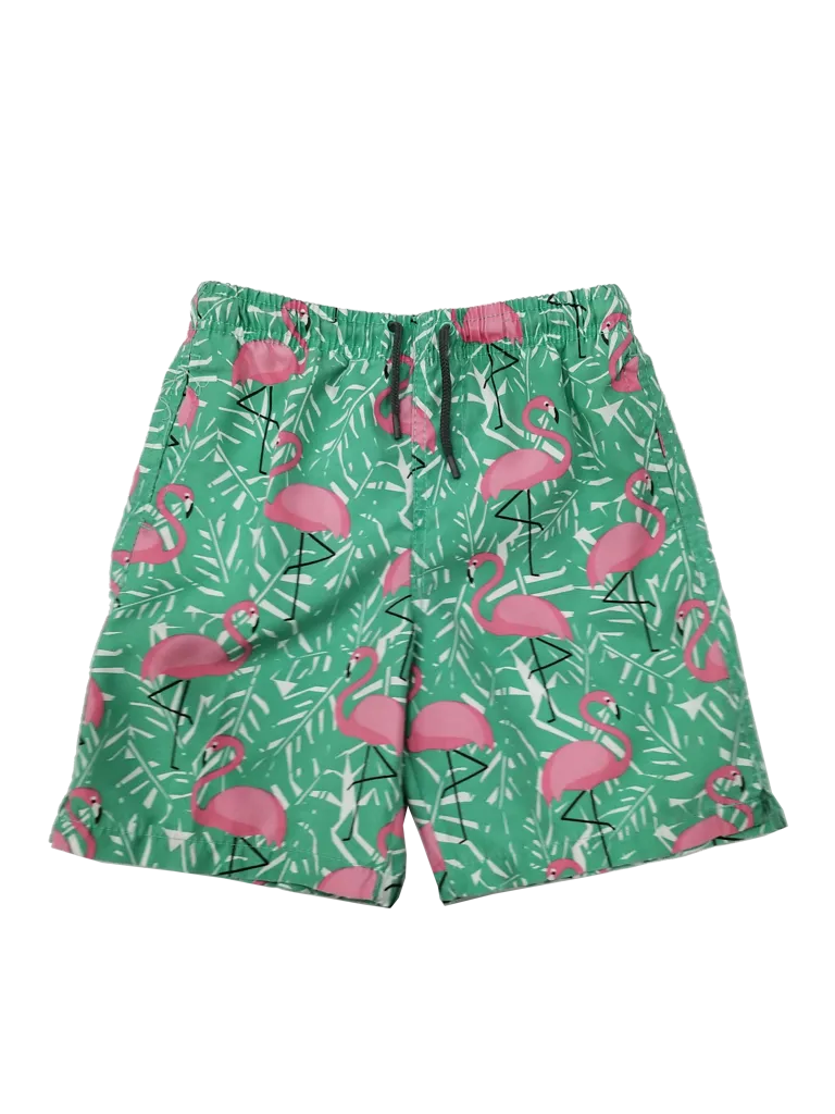 CKLS25 Boy's Swim Trunks in a flamingo and fern print