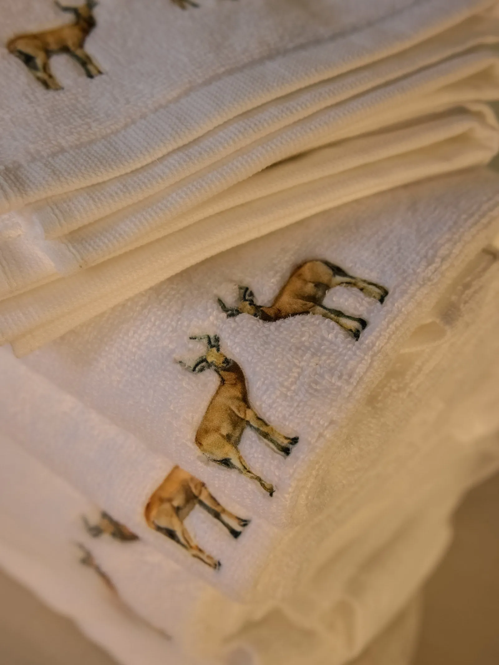 Reedbuck White Hand Towel (set of 2)