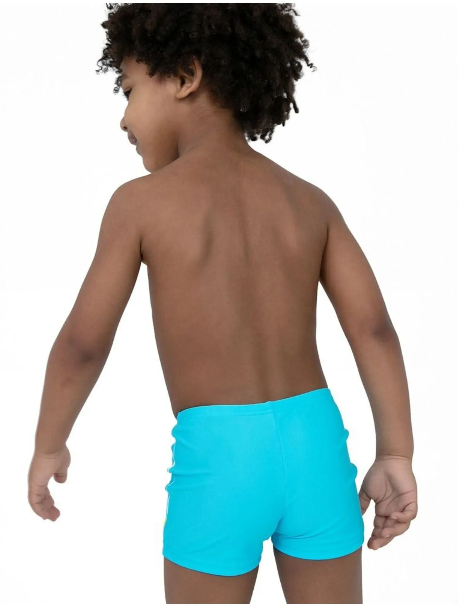 Speedo Tots Boys Tommy Turtle Placement Aquashorts - Aqua Blue