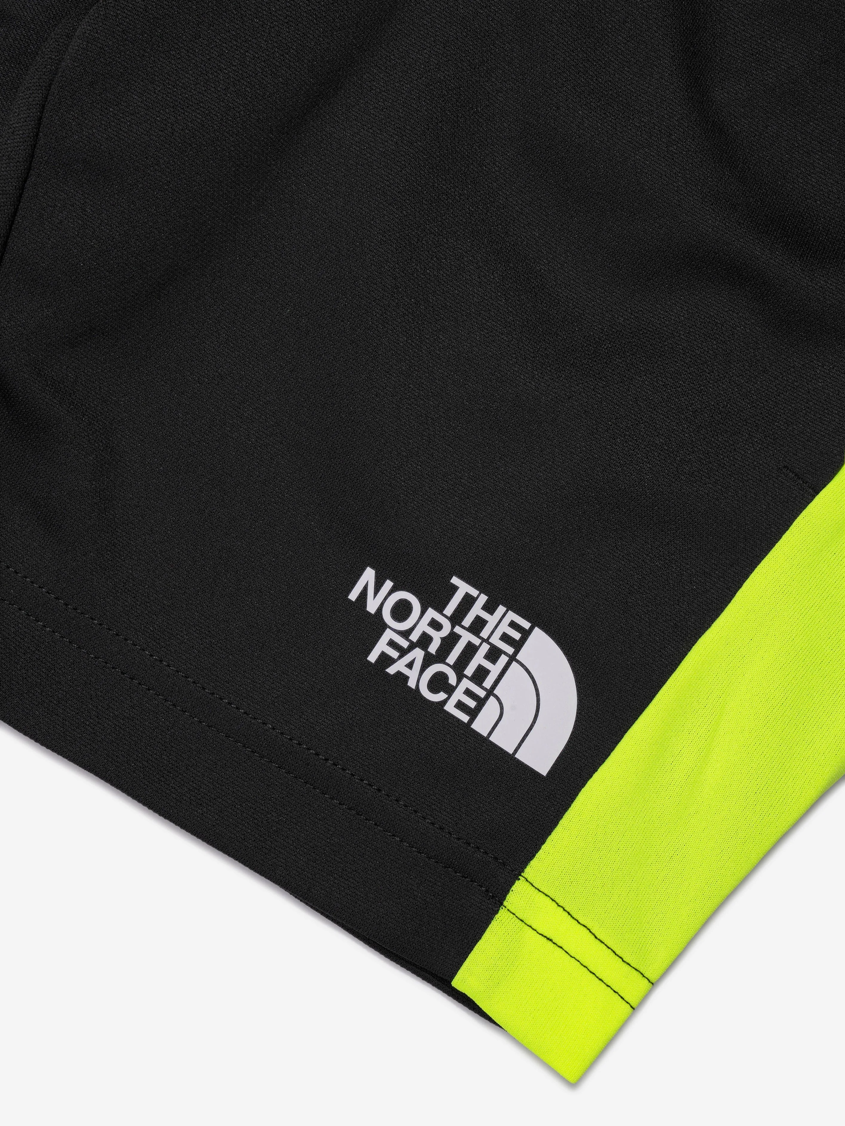 The North Face Boys Never Stop Shorts in Grey